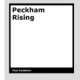 Peckham Rising by Paul Goodwin