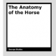 The Anatomy of the Horse by George Stubbs