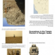 Excavations in the Temple Precinct of Dangeil, Sudan by Julie Anderson & Salah Mohamed Ahmed