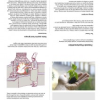 Towards Psychonutrition by John Hartley