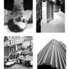 Skylines & Sightlines by Simon Pope